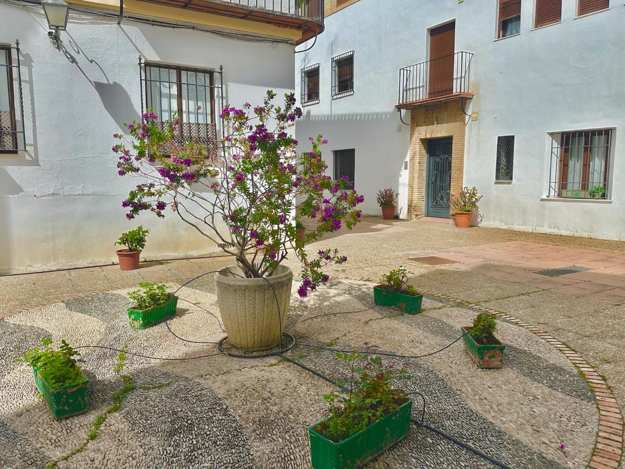 Orive House Appartement Córdoba Buitenkant foto